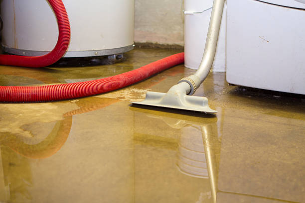 Best Sewage cleanup and water damage restoration  in Birngham, MI
